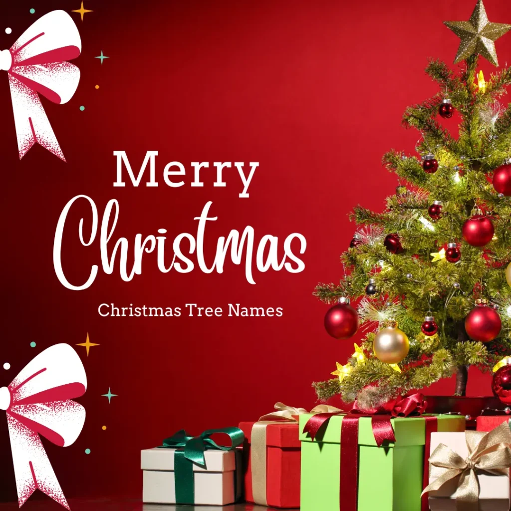 Christmas Tree Names