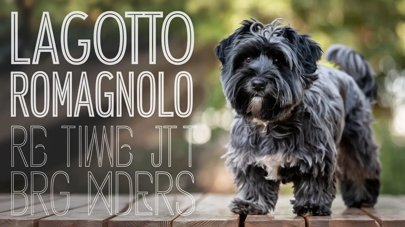 Lagotto Romagnolo Names