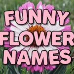 Funny Flower Names