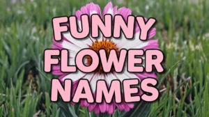 Funny Flower Names